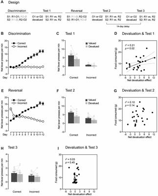 Role Played by the Passage of Time in Reversal Learning